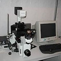 Cell Biology